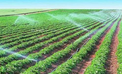 操穴h视频h农田高 效节水灌溉